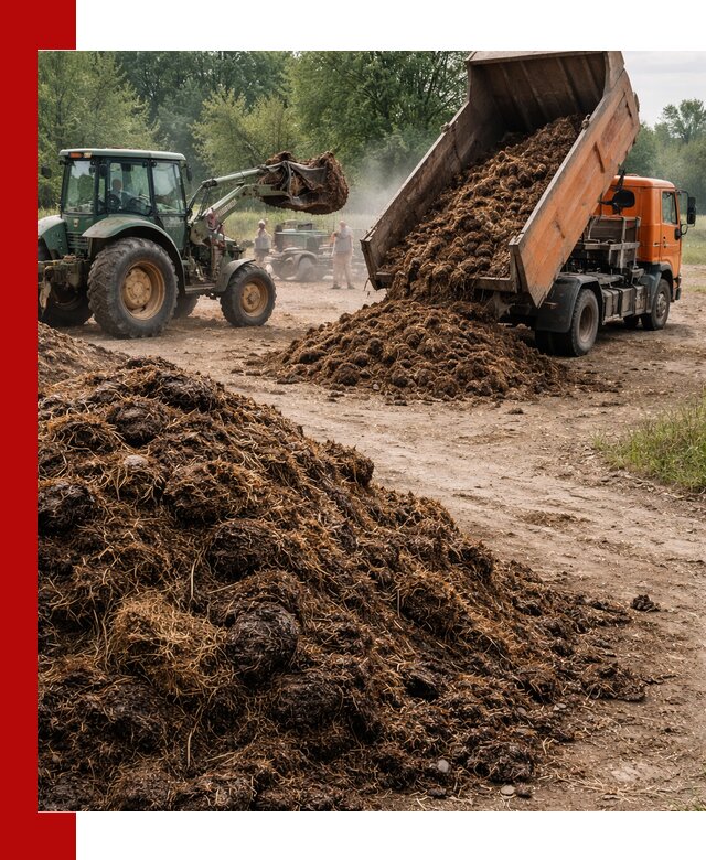 Доставка навоза самосвалами в Ачинске для сельхозпотребностей